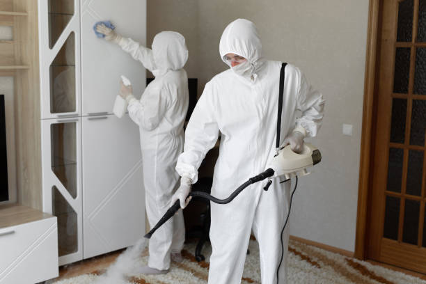 Professional Mold Remediation in Carrollton, GA