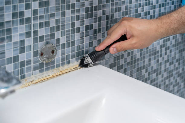 Best Commercial Mold Remediation in Carrollton, GA